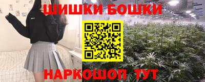 сатива Обь