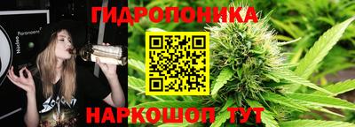 PSILOCYBIN Обнинск