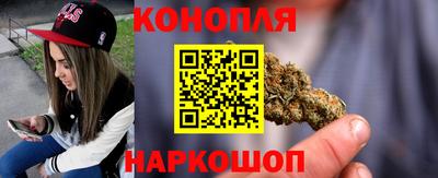 сатива Обь