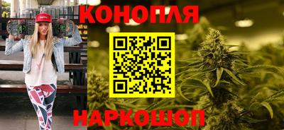 сатива Обь