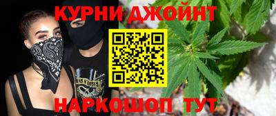 сатива Обь