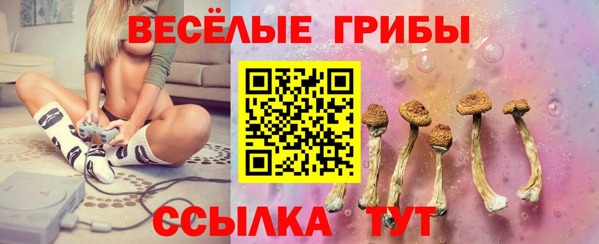 Псилоцибиновые грибы MAGIC MUSHROOMS Нягань